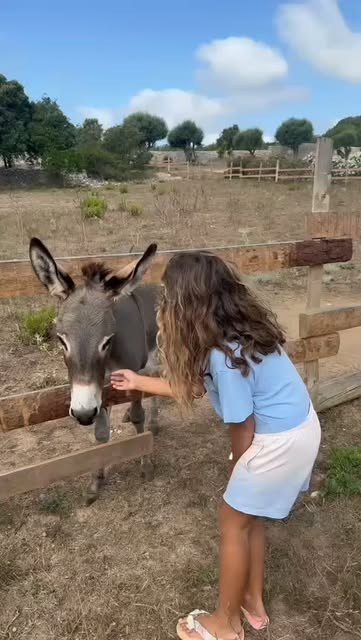 Instant champêtre dans la campagne corse